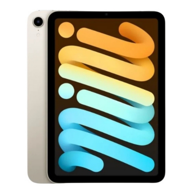 iPad mini